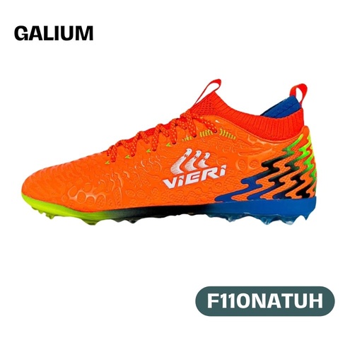 [F110NATUH] GALLUM H