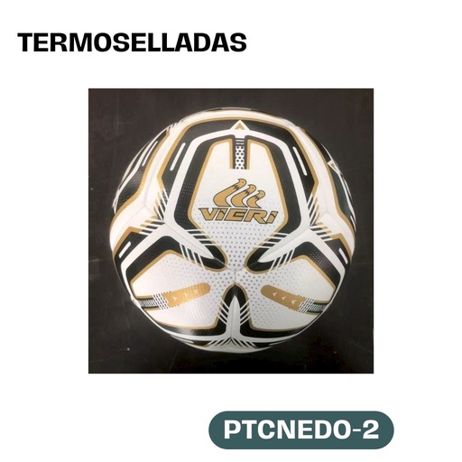 [PTCNEDO-2] PELOTA PLAYER